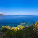 Residenza Le Tartarughe Διαμέρισμα
